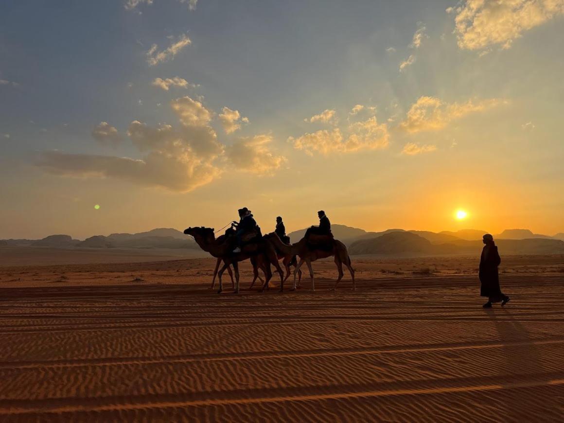 Wadi Rum Desert Camp Eksteriør billede