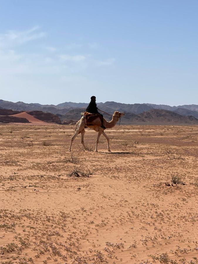 Wadi Rum Desert Camp Eksteriør billede