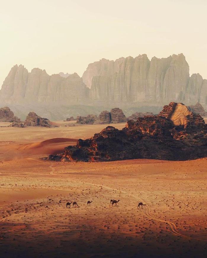 Wadi Rum Desert Camp Eksteriør billede